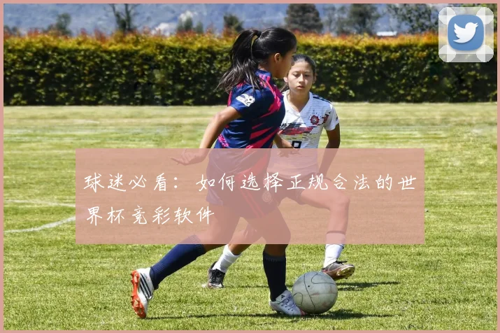 球迷必看：如何选择正规合法的世界杯竞彩软件