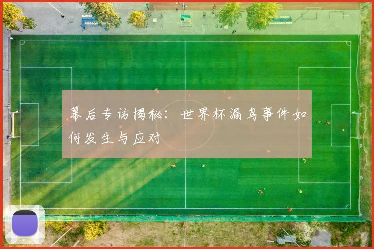 幕后专访揭秘：世界杯漏鸟事件如何发生与应对