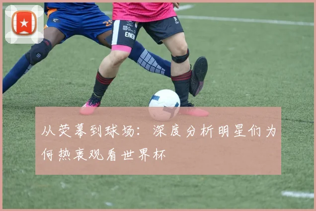 从荧幕到球场：深度分析明星们为何热衷观看世界杯