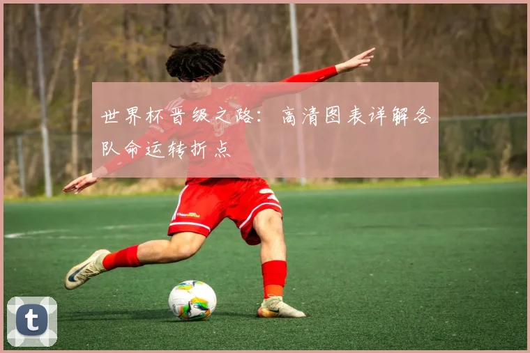 世界杯晋级之路：高清图表详解各队命运转折点