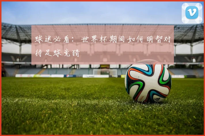 球迷必看：世界杯期间如何明智对待足球竞猜